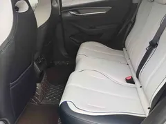 2024 BYD Destroyer 05 DM-i 55KM — фото 8