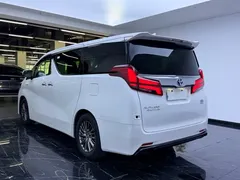 2021 Toyota Alphard Hybrid 2.5L Premium, белый — фото 15