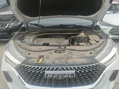 2023 Haval M6 Plus 1.5T DCT Elite, белый — фото 20