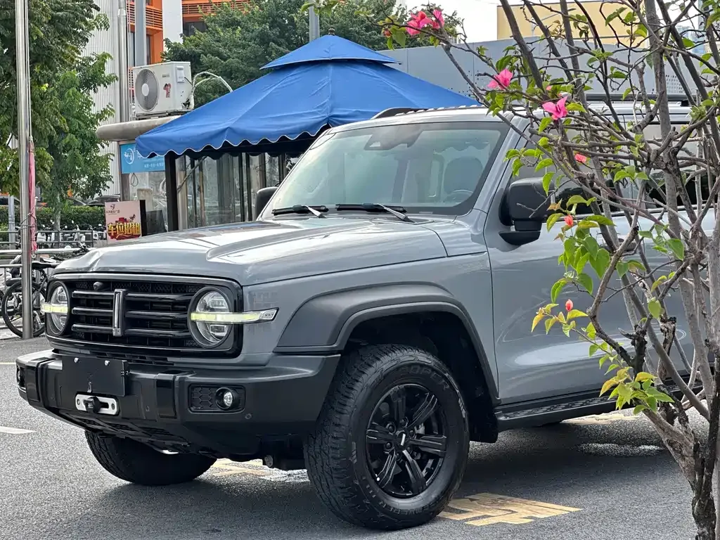 2021 Tank 300 2.0T