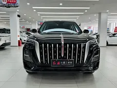 2025 Hongqi HS5 2.0T 2WD Pro, чёрный — фото 2