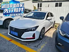 2021 Changan Raeton PLUS Blue Whale 1.5T DCT Luxury, белый — фото 1