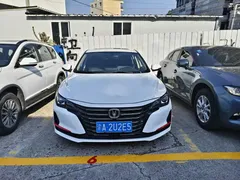 2021 Changan Raeton PLUS Blue Whale 1.5T DCT Luxury, белый — фото 2