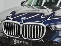2023 BMW X5 30Li M, чёрный — фото 29
