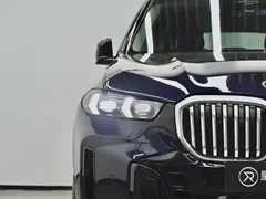 2023 BMW X5 30Li M, чёрный — фото 30