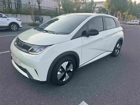 2023 BYD Dolphin 420km Fashion