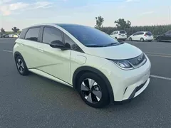 2023 BYD Dolphin 420km Fashion — фото 2