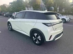 2023 BYD Dolphin 420km Fashion — фото 4