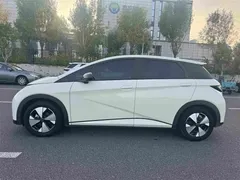 2023 BYD Dolphin 420km Fashion — фото 15
