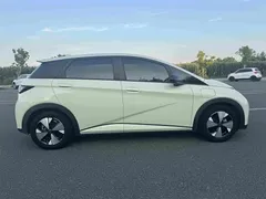 2023 BYD Dolphin 420km Fashion — фото 16
