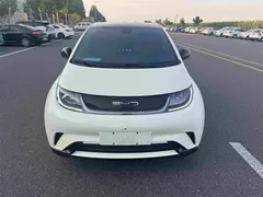2023 BYD Dolphin 420km Fashion — фото 17