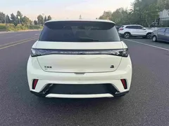 2023 BYD Dolphin 420km Fashion — фото 18