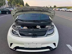 2023 BYD Dolphin 420km Fashion — фото 21