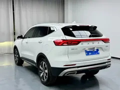 2023 Haval H6 1.5T AT, белый — фото 18