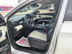 2023 BYD Yuan PLUS EV Champion 430km, белый — фото 7