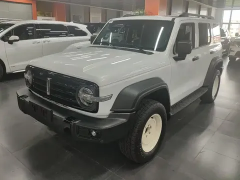 2021 Tank 300 2.0T