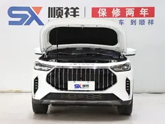 2023 Jetour X70 PLUS 2.0T DCT MAX 7, белый — фото 18