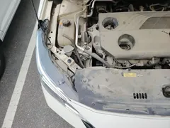 2020 Nissan Sylphy 1.6L XL CVT, белый — фото 19