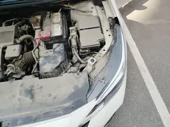 2020 Nissan Sylphy 1.6L XL CVT, белый — фото 20