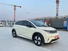 2023 BYD 420km, белый — фото 3