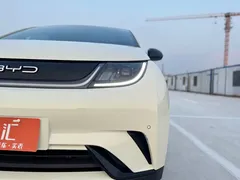 2023 BYD 420km, белый — фото 12