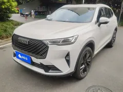 2021 Haval H6 2.0T AT 2WD Max, белый — фото 1