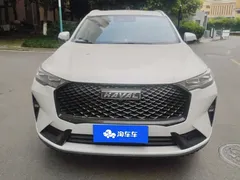2021 Haval H6 2.0T AT 2WD Max, белый — фото 2