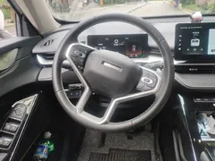 2021 Haval H6 2.0T AT 2WD Max, белый — фото 14