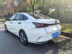 2023 Changan Raeton PLUS 1.5T DCT Premium, белый — фото 6