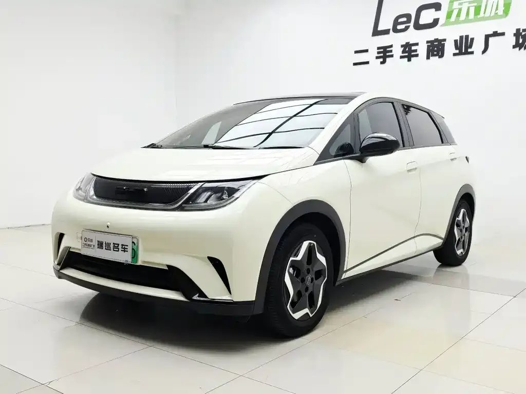 2023 BYD 420km