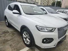 2021 Haval H6 1.5T AT, белый — фото 22