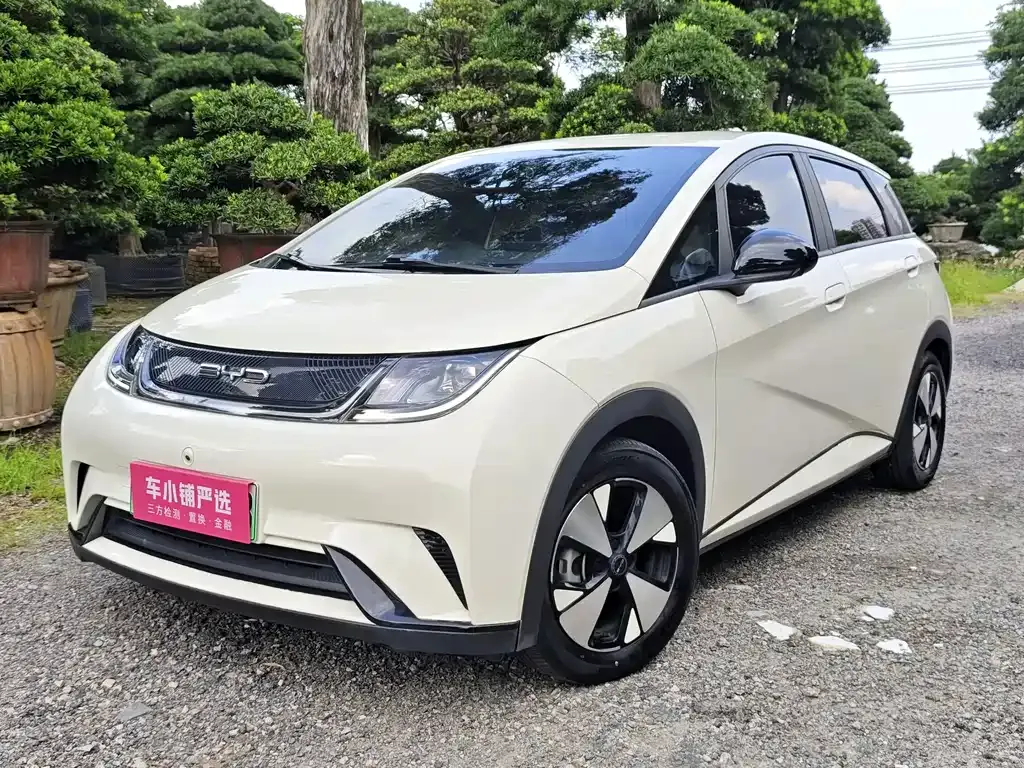 2023 BYD Dolphin 420km Freedom