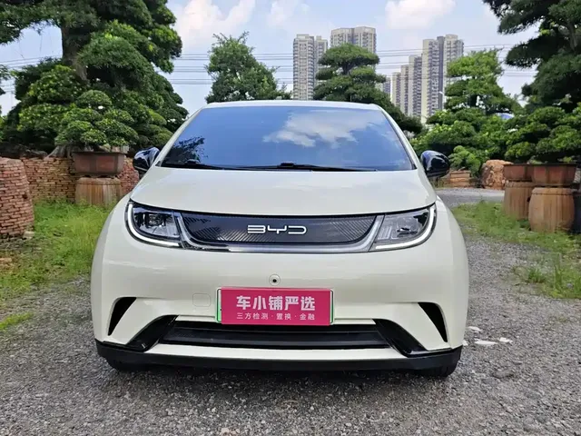2023 BYD Dolphin 420km Freedom