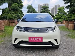 2023 BYD Dolphin 420km Freedom, белый — фото 2