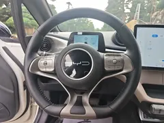 2023 BYD Dolphin 420km Freedom, белый — фото 10