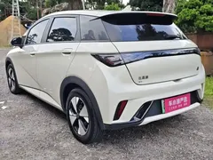 2023 BYD Dolphin 420km Freedom, белый — фото 15