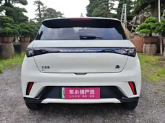 2023 BYD Dolphin 420km Freedom, белый — фото 16