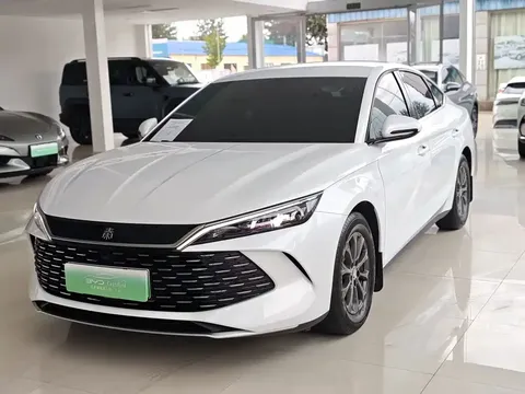 2024 BYD Qin L 80KM