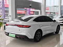 2024 BYD Qin L 80KM, белый — фото 8
