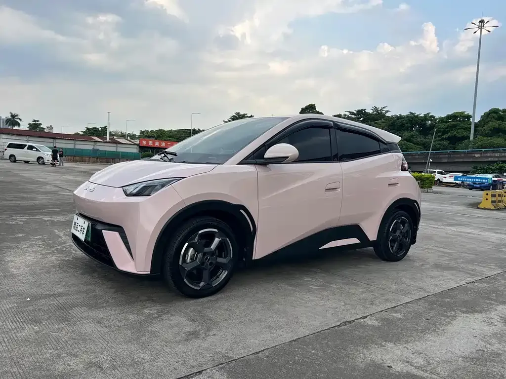2024 BYD Seagull 305km