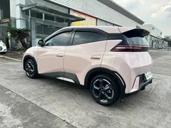 2024 BYD Seagull 305km — фото 6