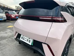 2024 BYD Seagull 305km — фото 15