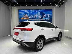 2021 Haval H6 2.0GDIT AT, белый — фото 4