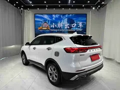 2021 Haval H6 2.0GDIT AT, белый — фото 9