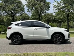 2021 Honda XR-V 220TURBO CVT Luxury, белый — фото 7