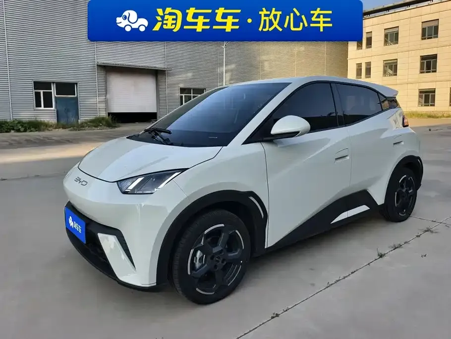 2023 BYD Seagull Flying
