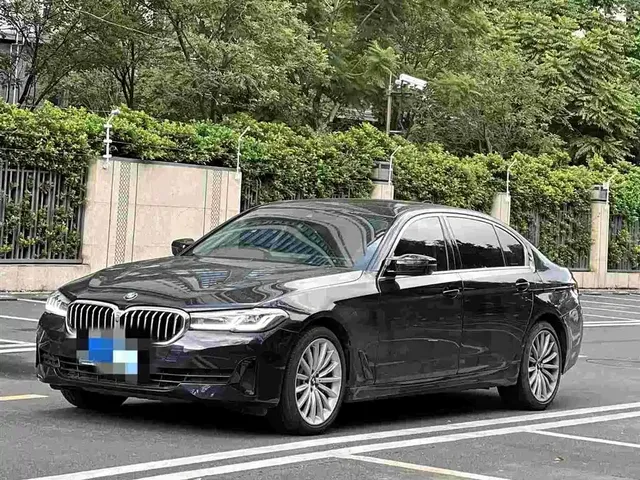 2021 BMW 5 Series 5 530Li