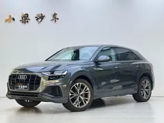 2021 Audi Q8 55 TFSI — фото 1
