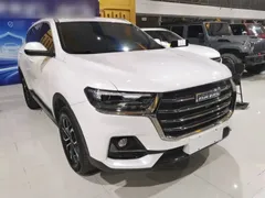 2021 Haval H6 1.5T AT Guochao Urban, белый — фото 4