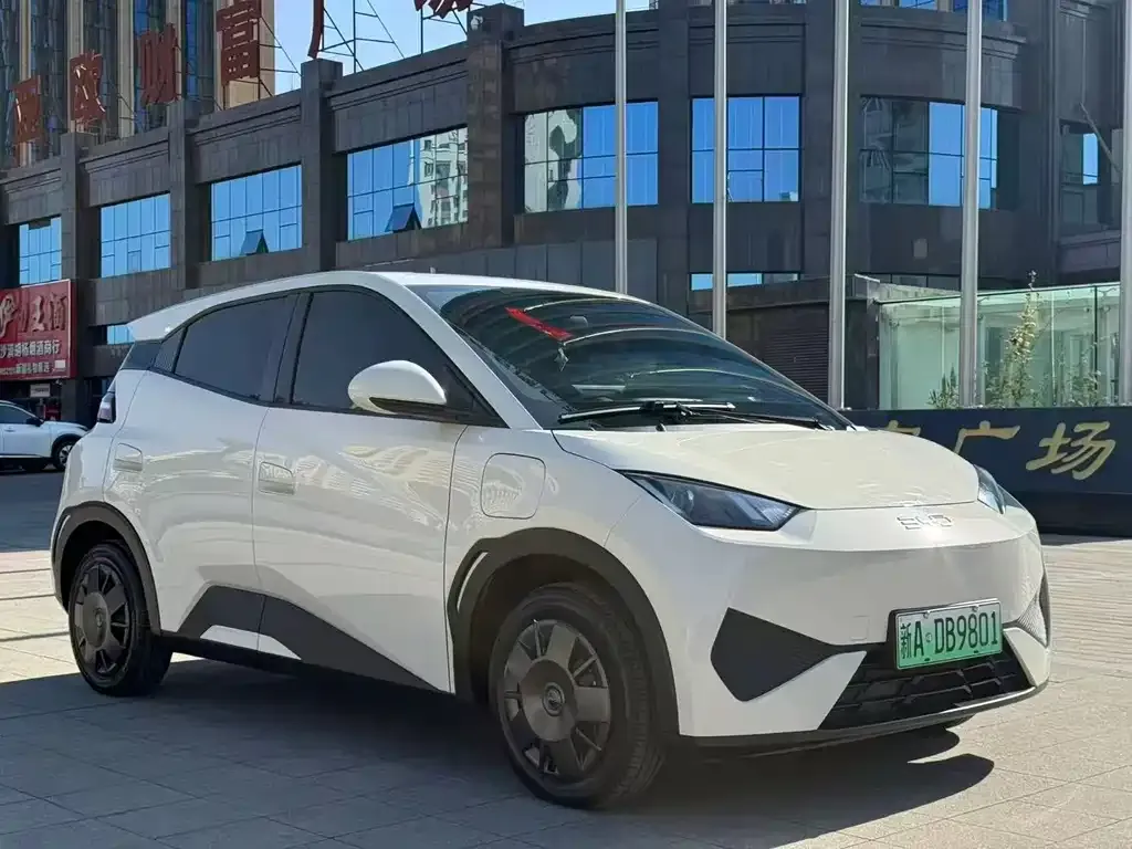 2025 BYD Seagull 305km